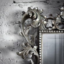 Load image into Gallery viewer, Baroque Style High Relief Silverwood Beveled Mirror
